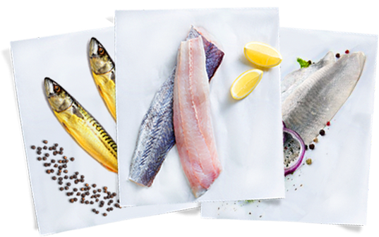 Ryby wędzone, ryby mrożone, śledzie i przetwory rybne